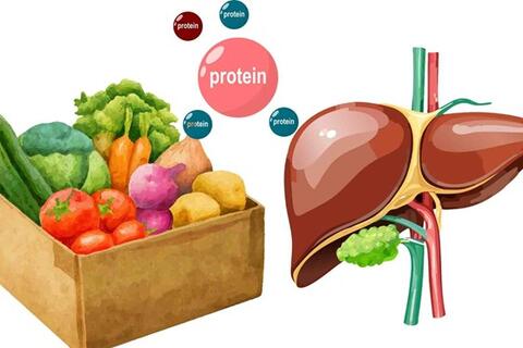 Gan khỏe hơn nhờ 3 nguyên tắc dinh dưỡng