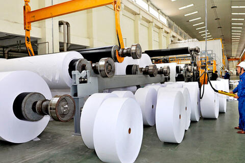 Ngành giấy trước áp lực tăng trưởng: Gỡ nút thắt thu gom, tái chế 