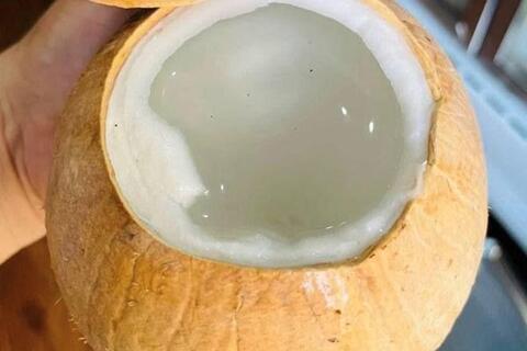 Công thức làm nước chanh kết hợp nước dừa hỗ trợ thải độc gan