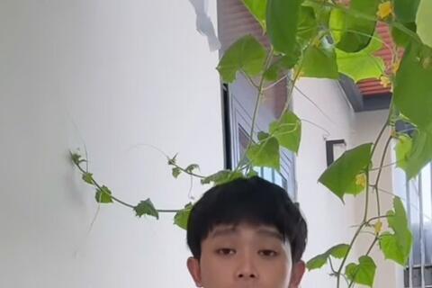 Hồ Văn Cường hé lộ căn nhà tiền tỉ, tự trồng rau củ giữa TPHCM