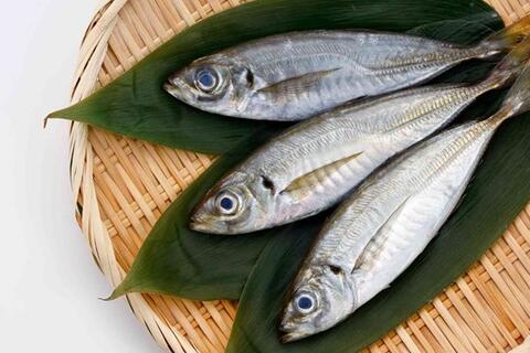 4 loại cá giàu omega-3 góp phần hỗ trợ đường huyết