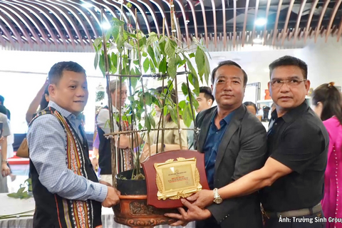 Doanh nghiệp Gia Lai trúng đấu giá cây sâm Ngọc Linh 35 năm tuổi làm thiện nguyện
