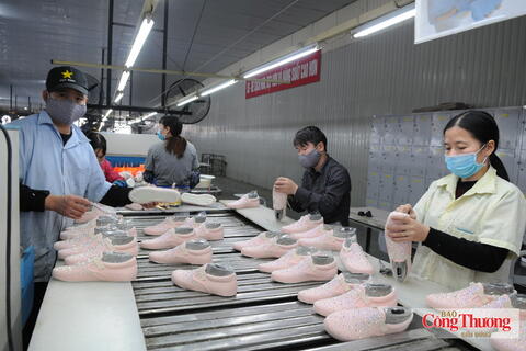 Doanh nghiệp Việt vượt rào cản kỹ thuật, chinh phục sâu thị trường EU