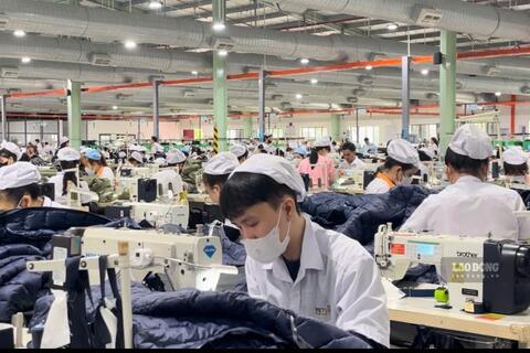 Công đoàn đồng hành cùng doanh nghiệp nâng cao năng suất lao động