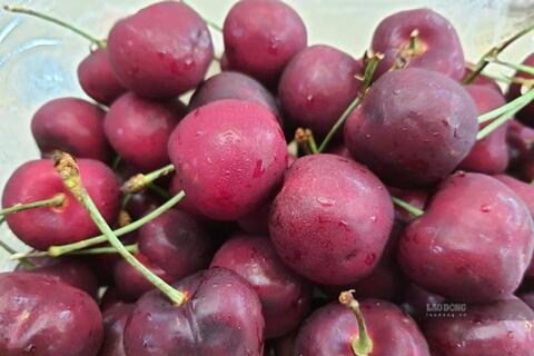 Loại quả quen thuộc giúp hạ axit uric và giảm đau nhức khớp
