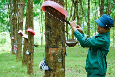 GVR gần hoàn thành kế hoạch lợi nhuận năm sau 9 tháng, nhưng quý III giảm mạnh