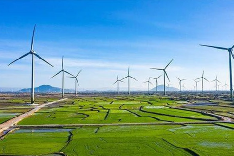 Kosy thoái sạch vốn tại công ty điện có tài sản gần 1.200 tỷ đồng
