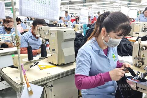 Doanh nghiệp Cà Mau khó tuyển lao động dù trả lương cao