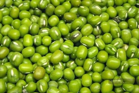 Những thực phẩm bệnh nhân gout nên ăn