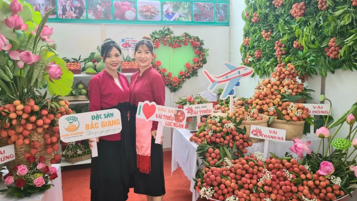 Nhiều siêu thị, doanh nghiệp lớn sẽ đổ về Bắc Giang mùa vải chín Nhiều siêu thị, doanh nghiệp lớn sẽ đổ về Bắc Giang mùa vải chín