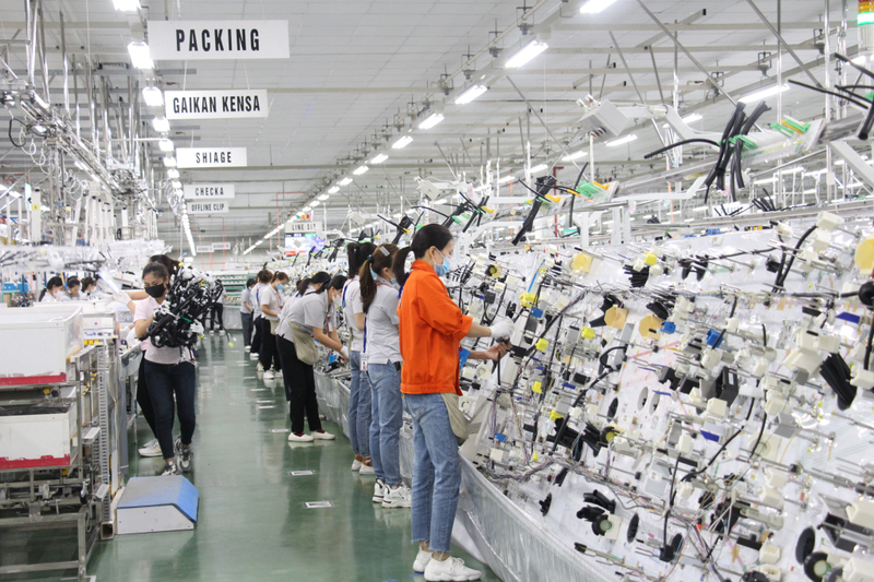 Tỉnh Quảng Ninh triển khai nhiều giải pháp, chính sách hỗ trợ doanh nghiệp xuất nhập khẩu. Ảnh minh họa