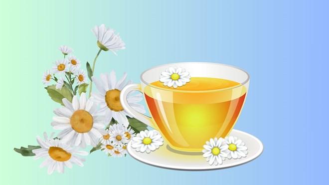4 loại trà thảo mộc hỗ trợ giải độc gan thận hiệu quả