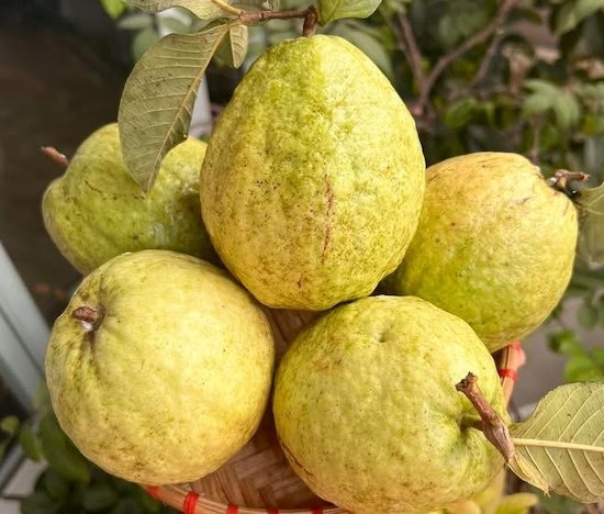 Cách đơn giản đào thải axit uric nhanh tại nhà