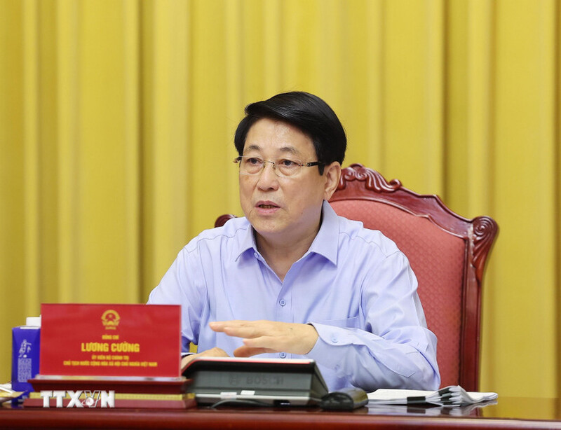 Chủ tịch nước Lương Cường phát biểu tại buổi làm việc. (Ảnh: Lâm Khánh/TTXVN)
