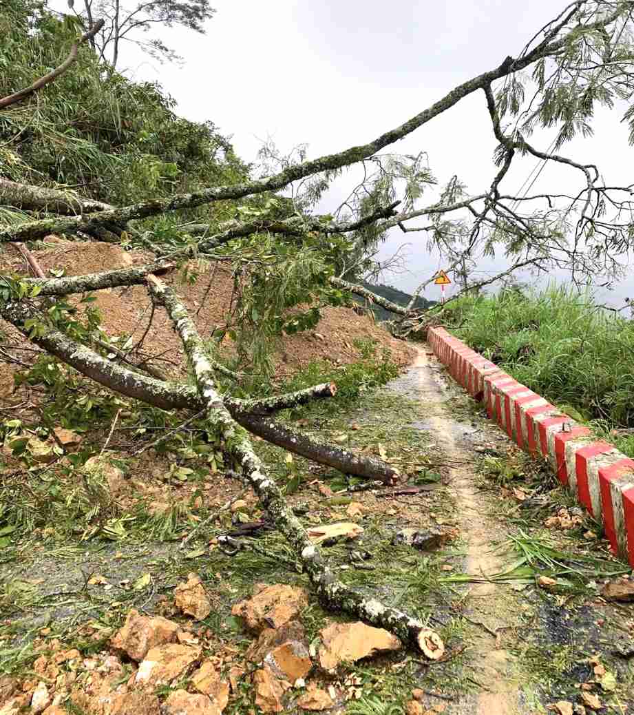 Sạt lở núi làm tỉnh lộ 534 qua xã Mường Lống không thể lưu thông. Ảnh: Ngọc Anh