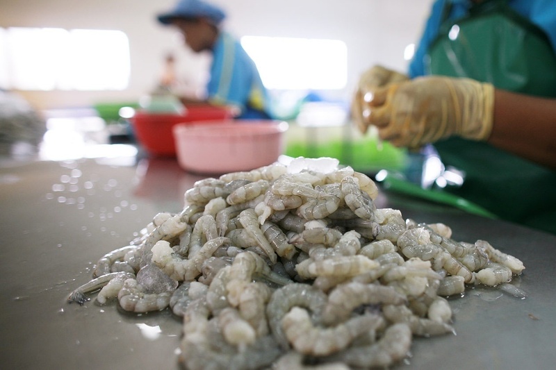 Bộ Công Thương đã nỗ lực triển khai đồng bộ, toàn diện các giải pháp nhằm thực thi hiệu quả các Hiệp định thương mại tự do (FTA) thế hệ mới mà Việt Nam là thành viên, bao gồm CPTPP.