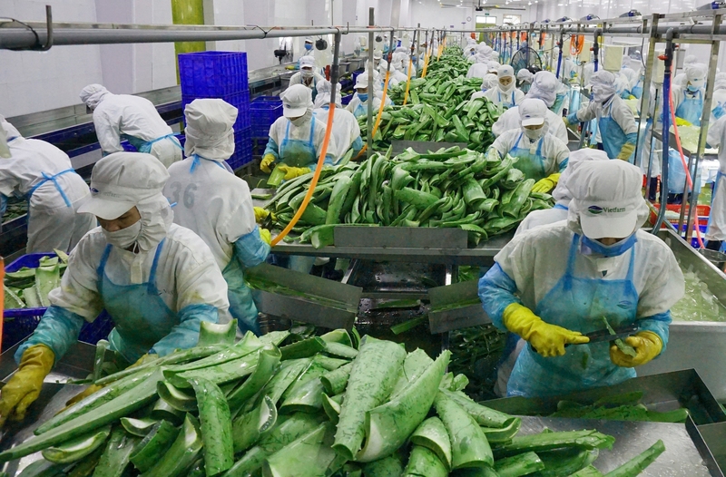 Trong 4 năm thực thi UKVFTA, tăng trưởng xuất khẩu trung bình của Việt Nam sang Vương quốc Anh tăng khoảng 10%/năm. Ảnh: Minh Anh