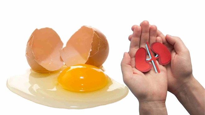 Cách phục hồi chức năng thận từ lòng trắng trứng