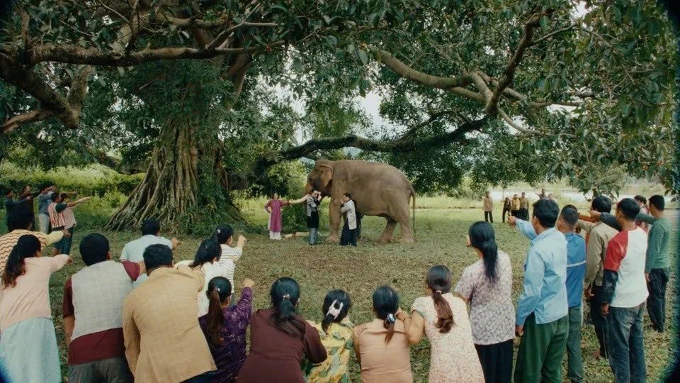 Vẻ đẹp hoang sơ của Tây Nguyên tái hiện qua MV Mục hạ vô nhân. Ảnh cắt từ MV