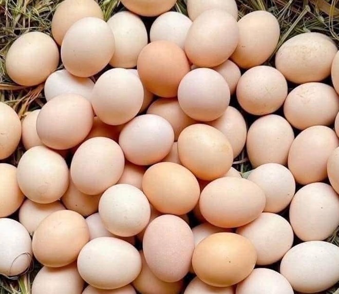 Giảm cân: Nên ăn lòng trắng hay lòng đỏ trứng?