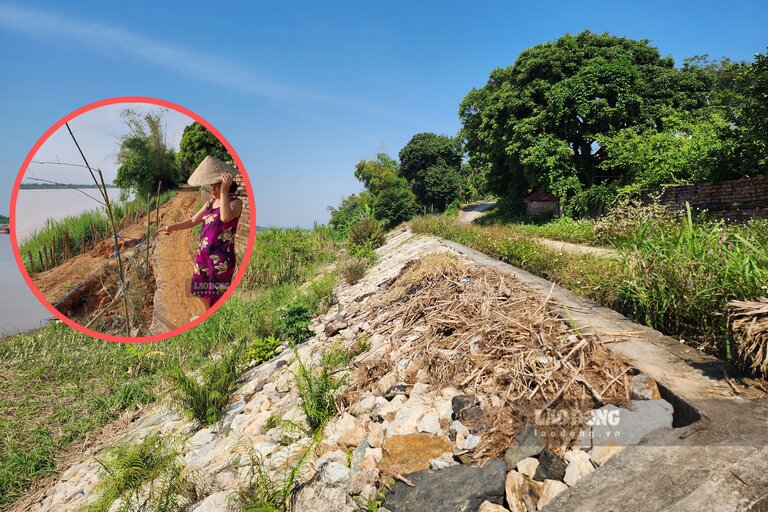 Đoạn sạt lở giáp nhà bà Nhung đã được kè kiên cố. Ảnh: Tô Công.