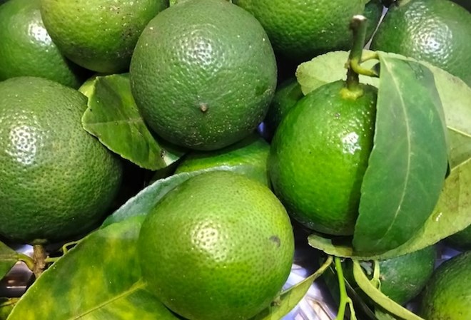 Sử dụng quả chanh an toàn và hiệu quả cho sức khỏe