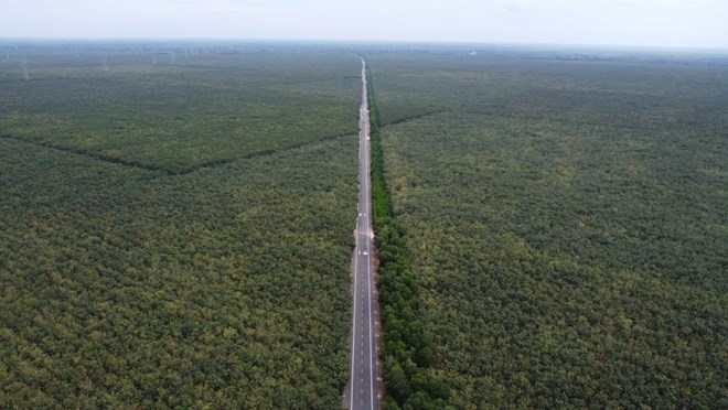 Ấn tượng 31,5 km đường Hồ Chí Minh đoạn qua những vườn cao su bạt ngàn