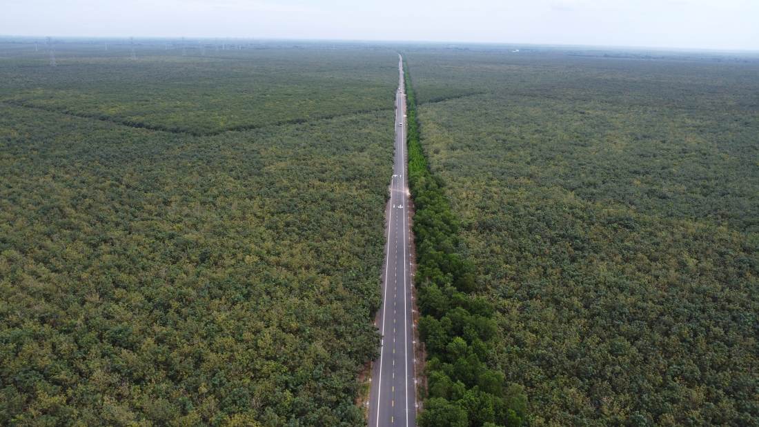 Đoạn 31,5km do Tập đoàn Đèo Cả thi công. Ảnh: Đình Trọng