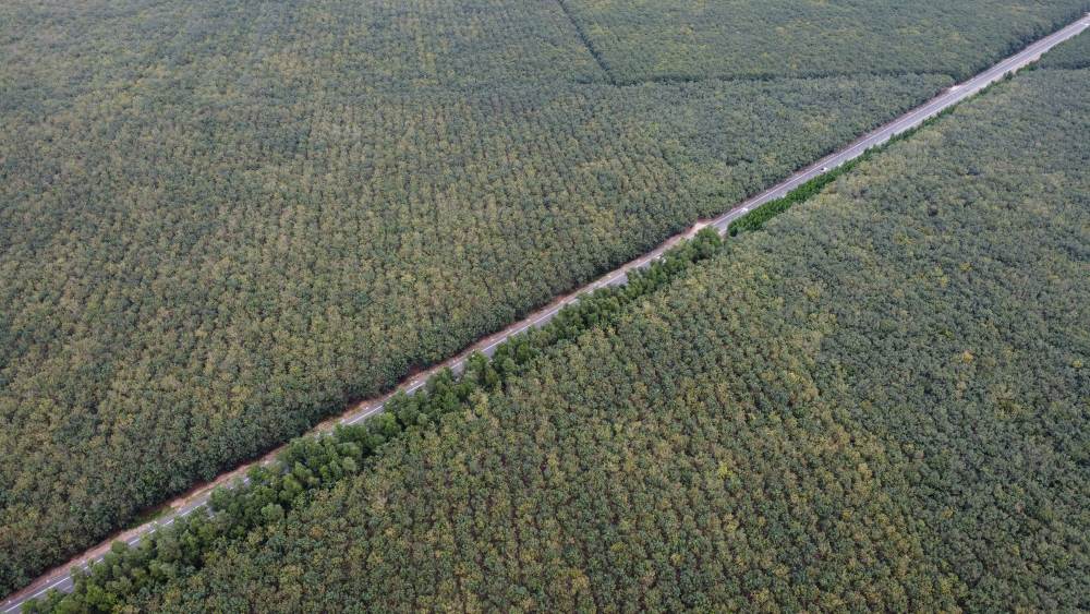 Tuyến đường xây dựng xong sẽ góp phần thúc đẩy kinh tế giữa các địa phương. Ảnh: Đình Trọng