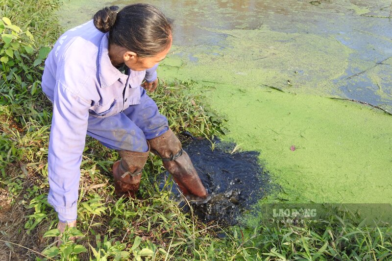 Nước đen kịt và bốc mùi hôi thối. Ảnh: Tô Công.