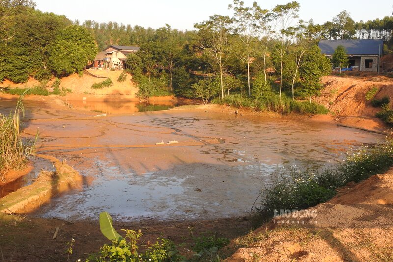 Bà Thìn đã phải bơm hết nước trong ao sau khi cá chết sạch. Ảnh: Tô Công.