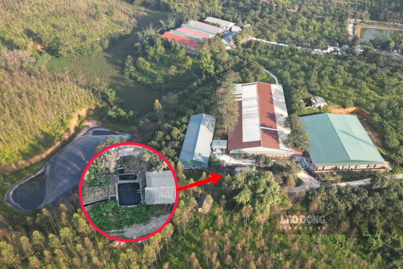 Trại lợn nằm trên đỉnh đồi. Ảnh: Tô Công.