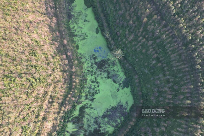 Vùng đất trung du xinh đẹp bị vấy bẩn, môi trường đã ô nhiễm. Ảnh: Tô Công.