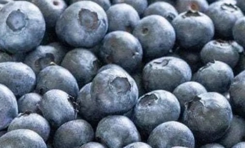 Mẹo tăng cường sức khỏe thận nhờ quả việt quất