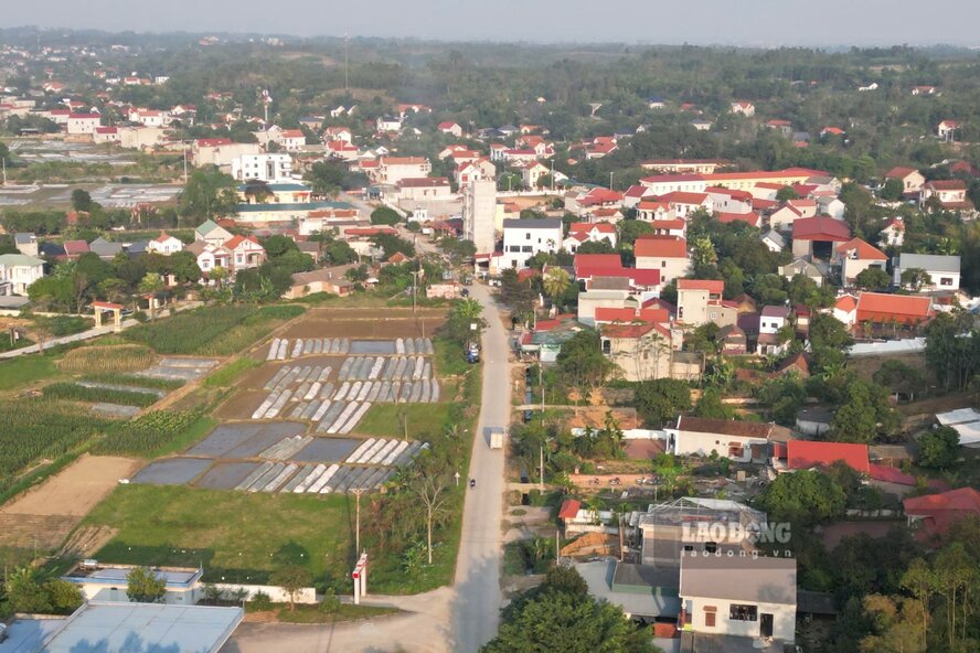 Toàn cảnh tuyến đường. Ảnh: Tô Công.