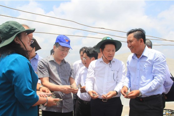 Chủ tịch Hội Nông dân Việt Nam Lương Quốc Đoàn thăm mô hình nuôi tôm công nghệ cao của Câu lạc bộ tỷ phú nông dân tỉnh Vĩnh Long. Ảnh: Huỳnh Xây