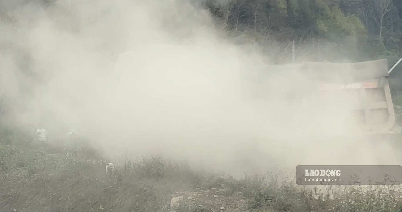 Cây cối ven đường phủ trắng xóa bụi. Ảnh: Đinh Đại