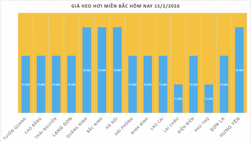 Giá heo hơi hôm nay 15/2/2026: Tiếp tục đi ngang - 1