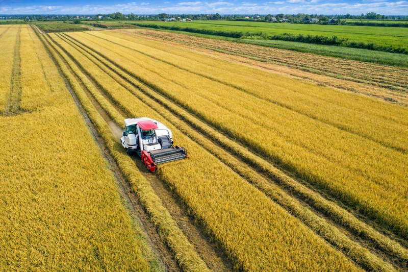 Sản xuất nông nghiệp công nghệ cao đang được Đồng Tháp đẩy mạnh gắn với chuỗi giá trị.