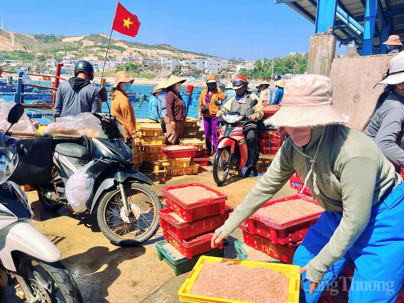 Những ngày cao điểm, bến cá rộn ràng từ sáng sớm. Ảnh: Hoàng Lợi