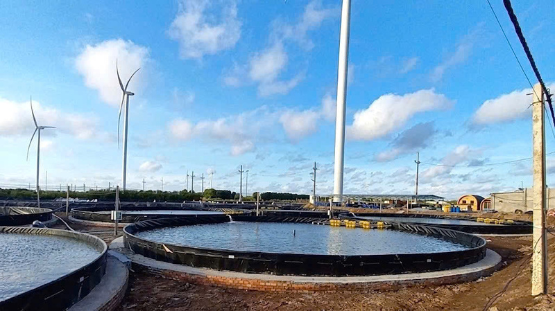 Đầu tư hạ tầng và thiết bị nuôi đồng bộ là chìa khóa giúp doanh nghiệp ngành tôm chủ động thích ứng với biến động thị trường. Ảnh: Công ty TNHH AQUA MINA