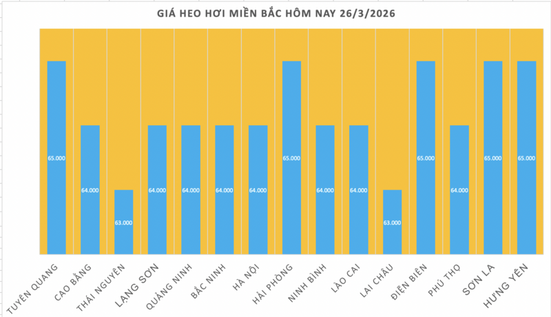 Giá heo hơi hôm nay 26/3: Đi ngang, cao nhất đạt 69.000 đồng/kg - 1