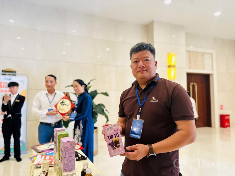 Nhiều doanh nghiệp đánh giá cao chương trình công tác do Cục Xúc tiến thương mại tổ chức