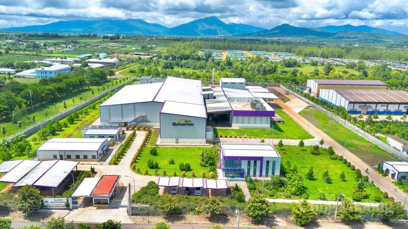 Nhiều doanh nghiệp không chỉ thu mua nguyên liệu mà còn đóng vai trò kết nối sản xuất với thị trường xuất khẩu. Ảnh: Hiền Mai