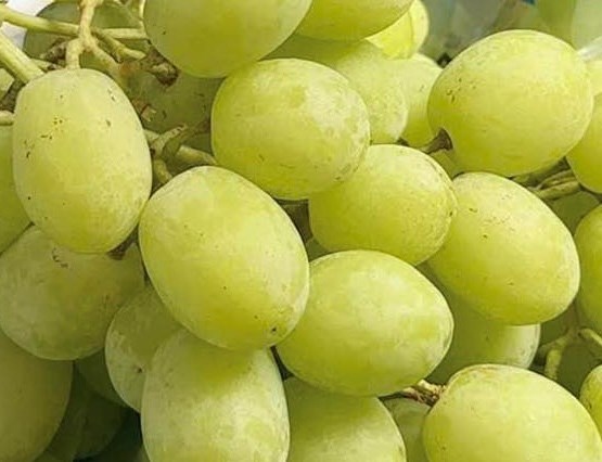 Cách bổ sung magie tốt cho mắt bằng trái nho