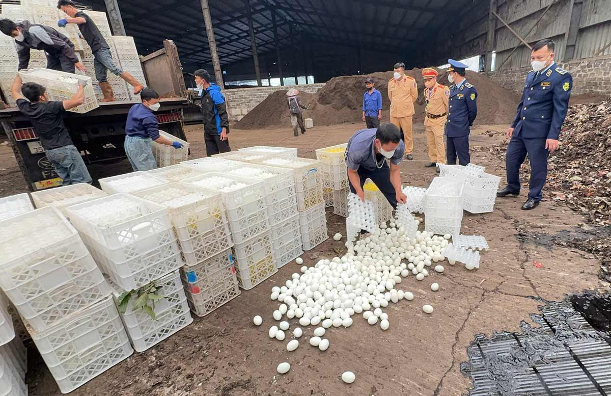 Trong số các trường hợp vi phạm, có 3 tổ chức cá nhân