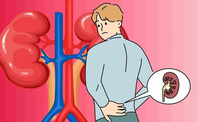 10 thực phẩm bổ thận nên có trong bữa ăn