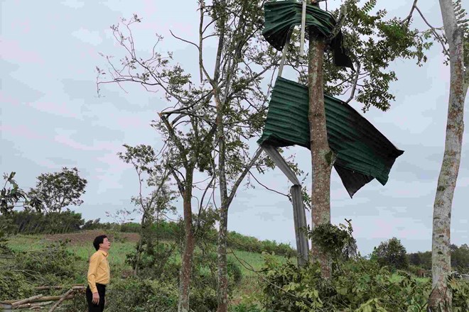 Hiện trường tan hoang sau dông lốc ở xã Quỳ Hợp