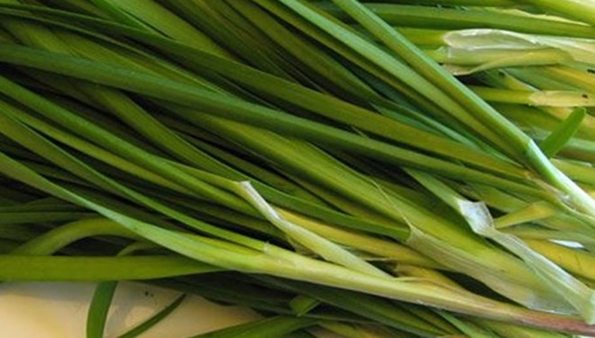 Tác dụng của lá hẹ đối với giấc ngủ trong mùa hè oi bức