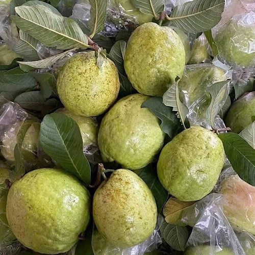 Quả ổi hay cam giàu vitamin C hơn?